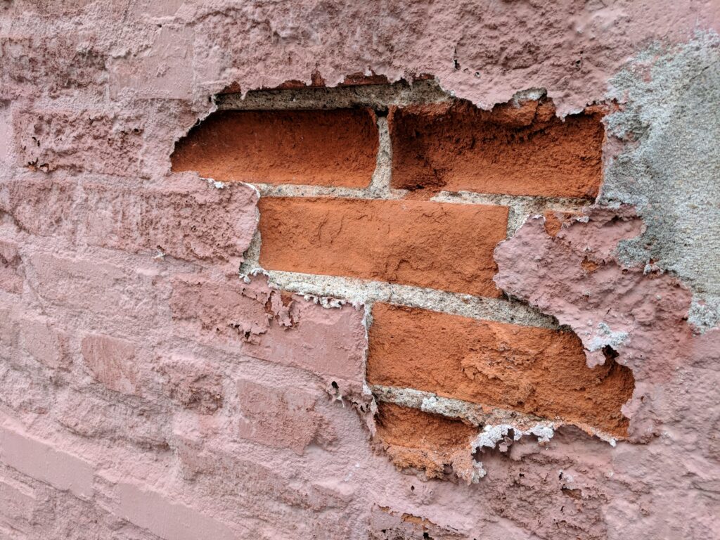 Most Endangered 2023 Call for Nominations EXTENDED