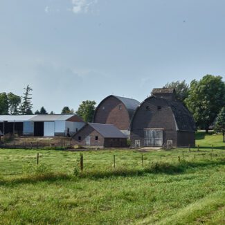 Farm Slide Show_0008_master-pnp-highsm-39700-39755u Similarly painted barns and outbuildings near the town of Hampton in Franklin County, Iowa